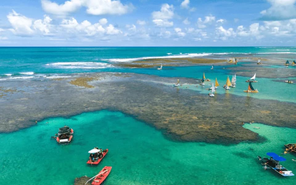 Cenário de Maceió + Maragogi